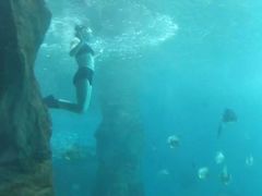 -北戴河圣蓝海洋公园