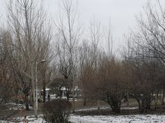 -长春公园(普阳街道)