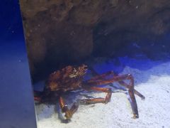 -南昌融创海世界