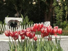 -人民公园(罗湖区)