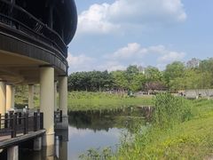 -眉山湿地公园(东坡区)