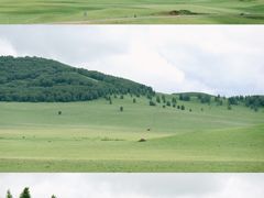 -乌兰布统草原