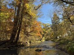 -斯琴阿妈蒙古餐厅(新城店)