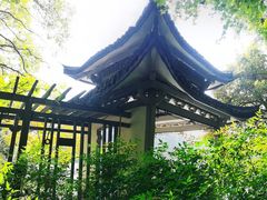-杭州植物园