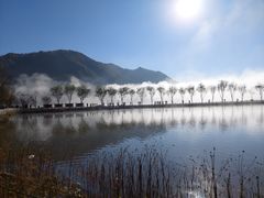 -大九湖