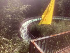 -仙山谷激浪漂流