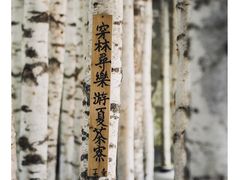 景观位-Metal hands·铁手咖啡