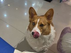-平行世界·猫咖(首经贸店)