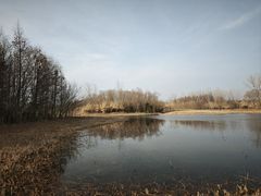 -溱湖国家湿地公园