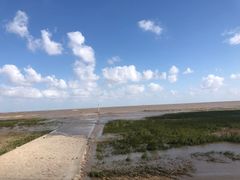 -南汇嘴观海公园