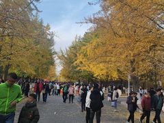 -辽宁大学(崇山校区)
