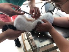 -畜牧兽医站(共江路店)