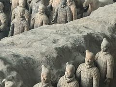 -秦始皇帝陵博物院-丽山园