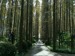-上海怡沁园度假酒店
