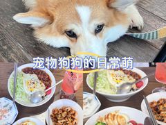 -肥朵食堂(带梦胡同店)