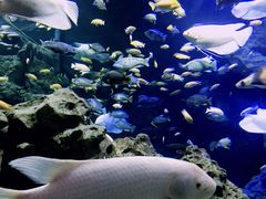 -成都浩海立方海洋公园