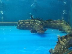 -董大蒸货(方塔园店)