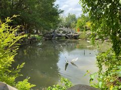 -河源客天下-温泉小镇