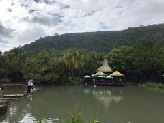 -呀诺达热带雨林