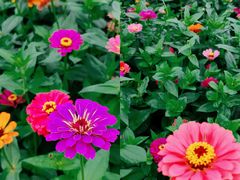 -盘龙城国家考古遗址公园