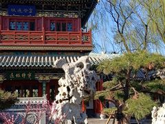-迎泽公园