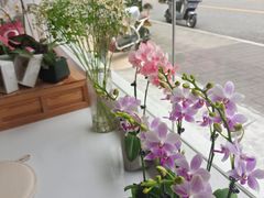 -Gigi Florist·Dk Coffee