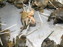 -都斛海鲜街