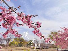 -上海辰山植物园
