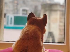 -温莎城堡