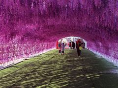 -绿野森林乐园冰雪季