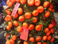 -潮福城大酒楼(北尚店)