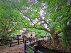 -古堰画乡景区