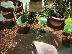 -邈墨茶馆(凤起路店)