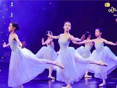 -小荧星艺校(浦东中环分校)