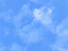 -摆渡站(董家渡站)