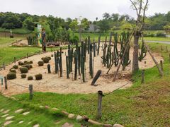 -东莞植物园