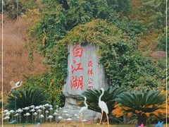 -广州白江湖森林公园