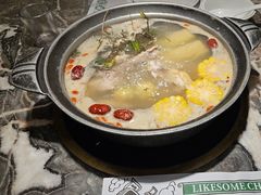 -禄婶鸡煲·打边炉