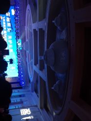 -大连城堡豪华精选酒店·宴会厅