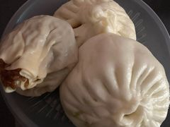 -和善园手工大包子(常德路店)