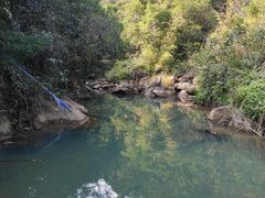 -广州白江湖森林公园