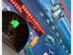 -蓬莱欧乐堡海洋极地世界