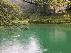 -靖西鹅泉风景区