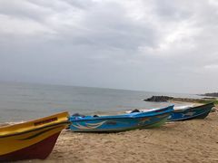 -尼甘布海鲜市场