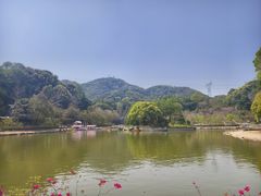 -广州市帽峰山景区