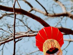 -颐和园