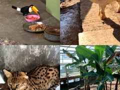 -石家庄市动物园