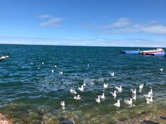 -青海湖国家重点风景名胜区