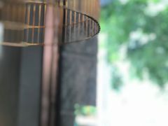-蝴蝶汇音乐酒馆(罗湖店)