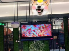 门面-老板恋上鱼(环山路店)